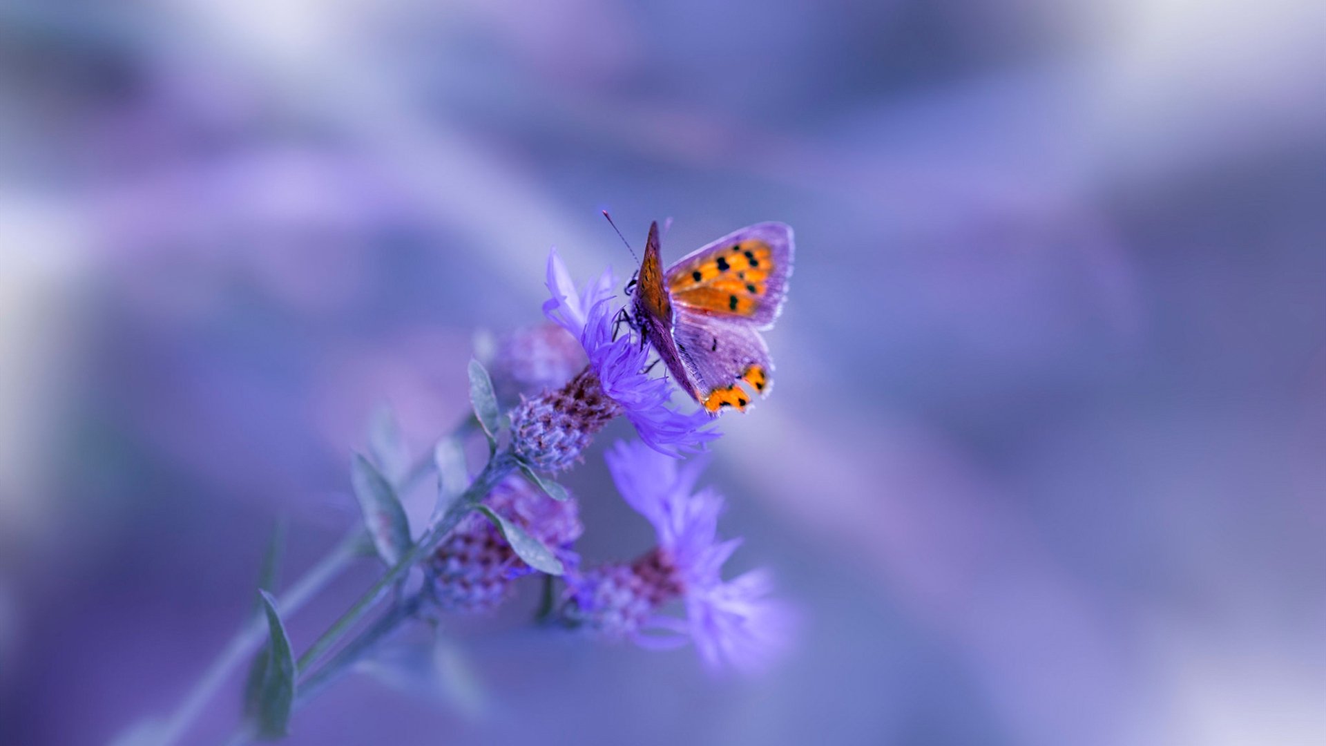 中国男篮强化终结能力提升攻坚水平,中国男篮晋级