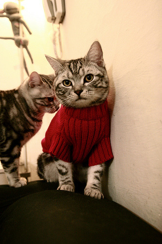 隆戈:全黑队历史上最具影响力的球员之一,传世传奇,隆戈斯干红葡萄酒价格