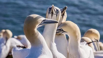 开云体育APP下载-鲁尔区德比迎来高能比赛，鲁尔区德比体育市场化