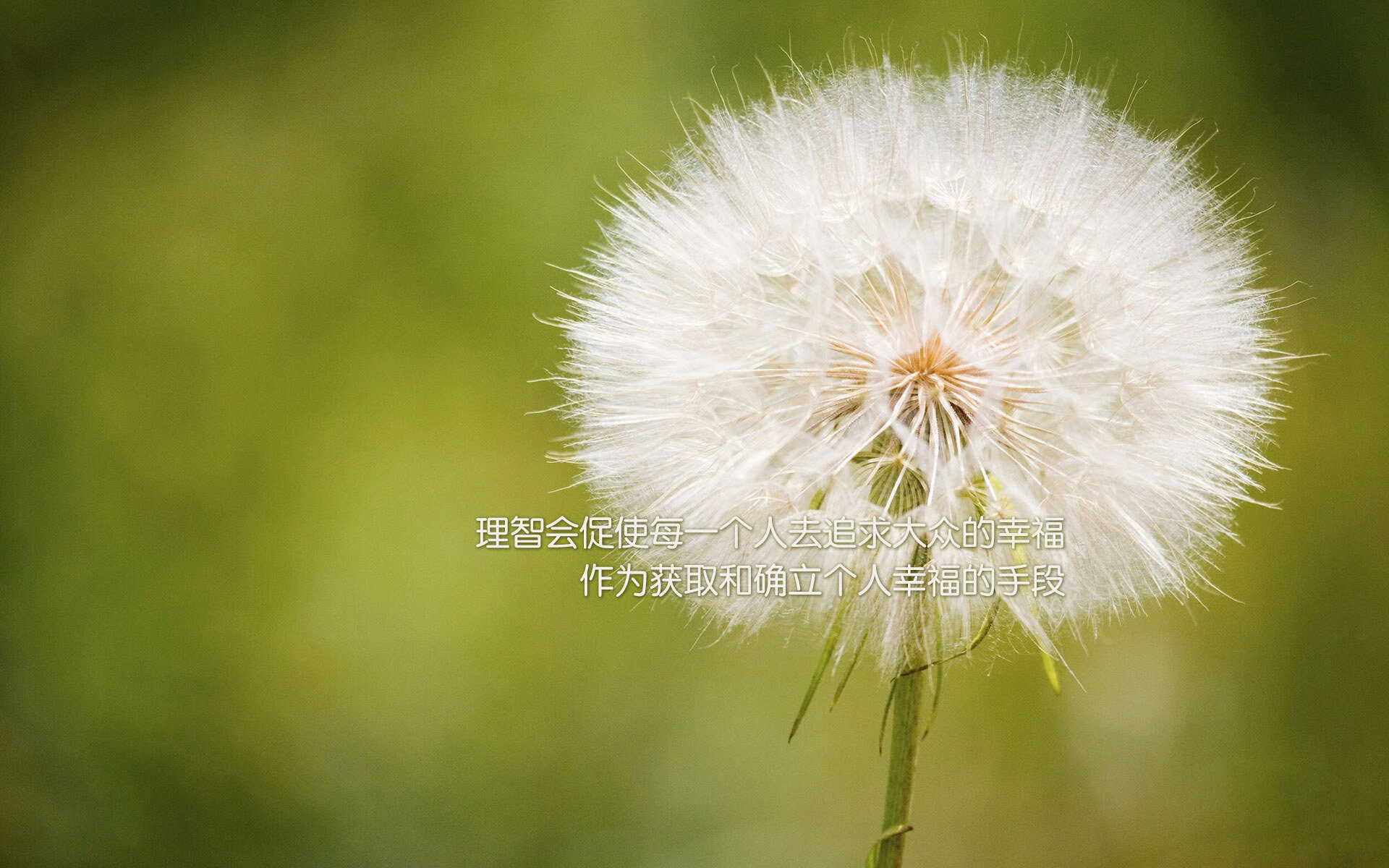 【数据驱动的决策】高科技和大数据如何改变比赛策略？，大数据技能挑战赛