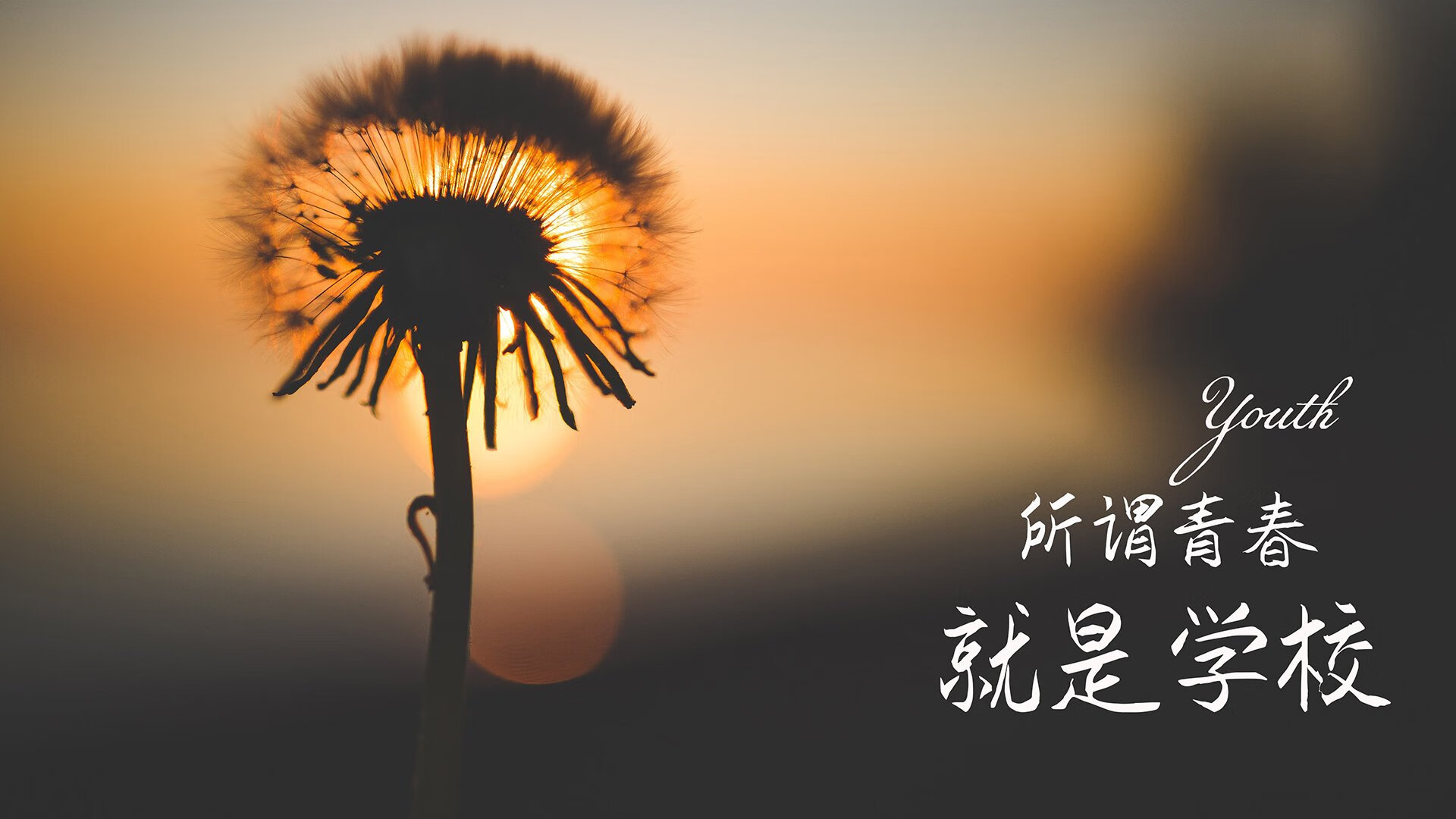 塞内加尔队把滑铲踢成花滑，裁判不敢吹！，塞内加尔allegret