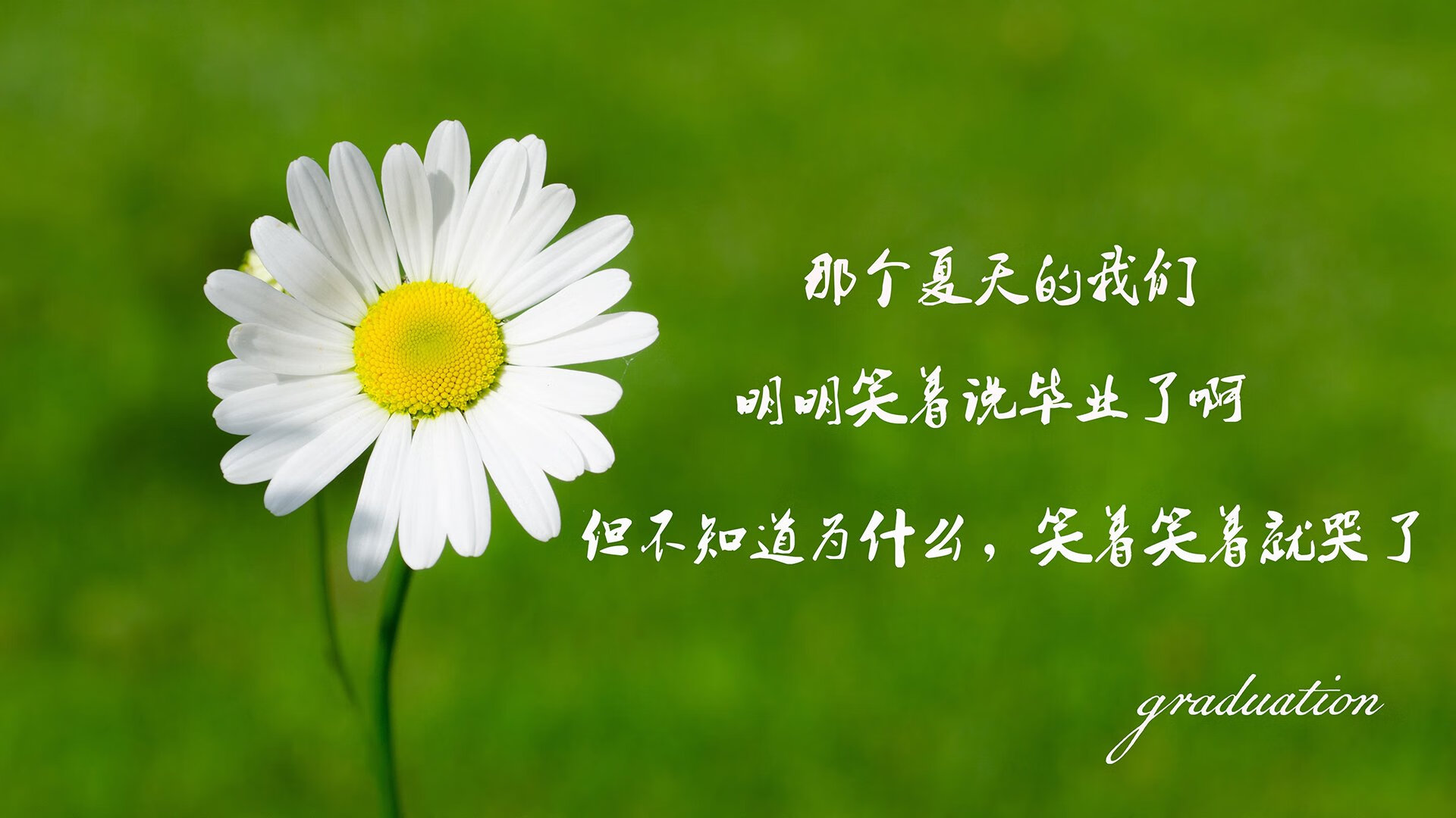 女足世界杯激烈小组赛战况，女足世界杯比赛