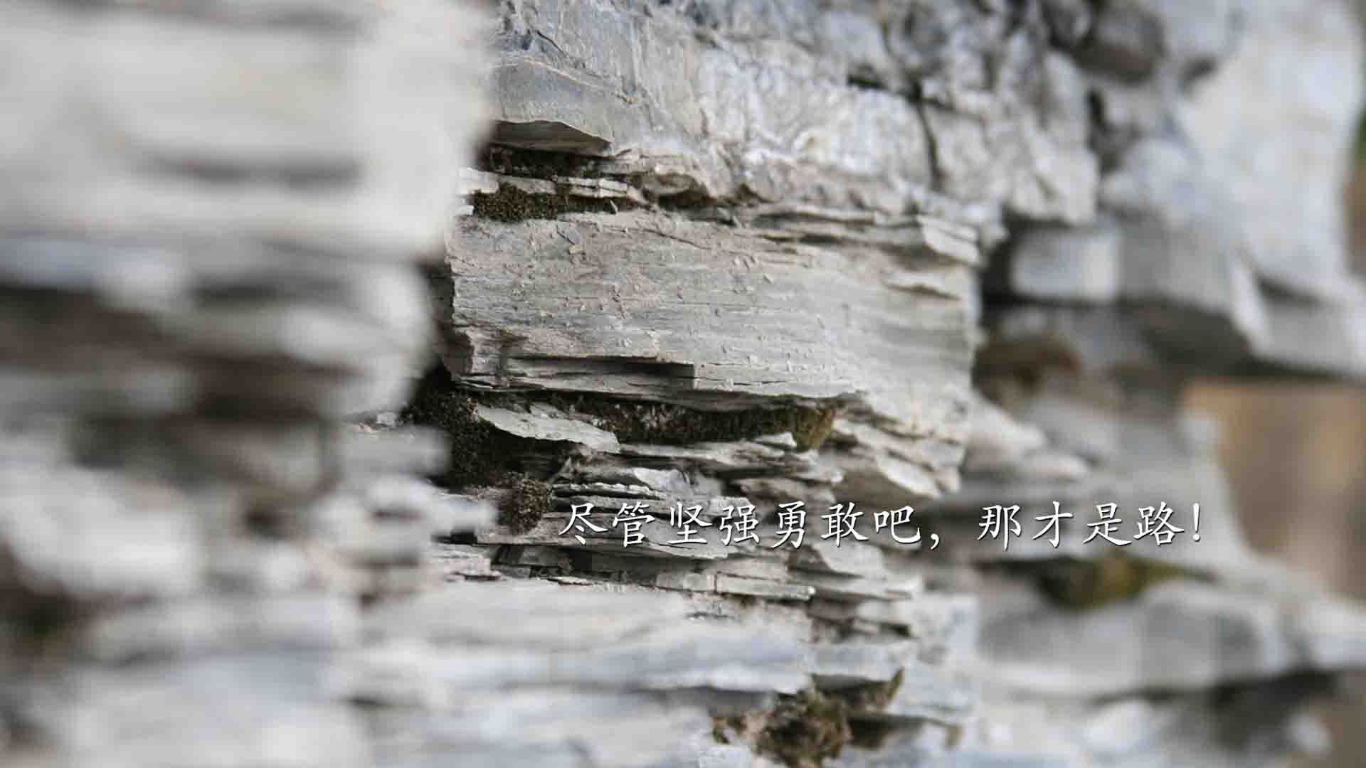 女足体能教练团队增编，保障比赛强度，女足训练