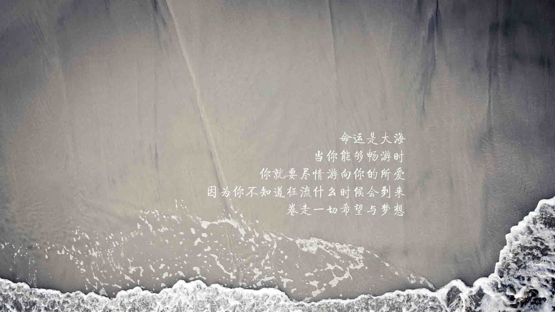 斯特拉斯堡主场战胜第戎，获得胜利，斯特拉斯堡战役