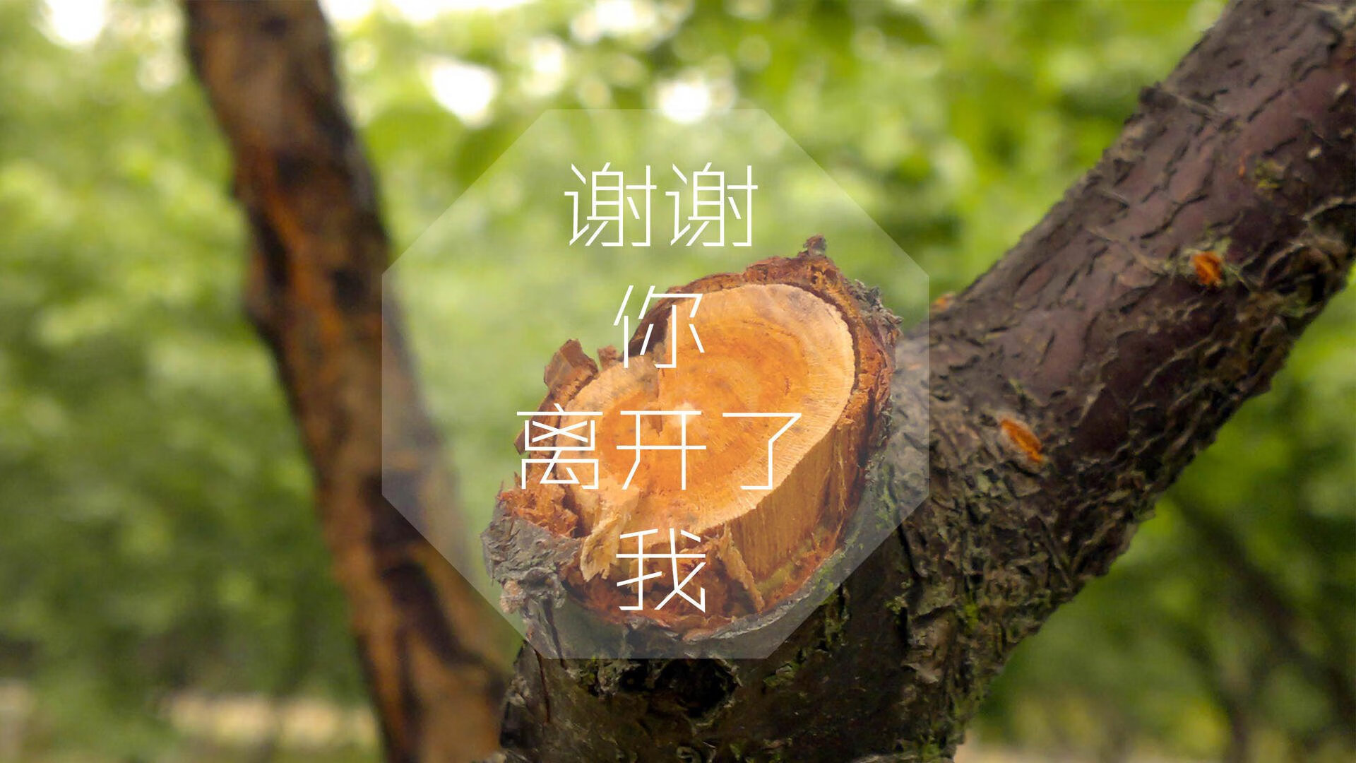 湖北男篮再战硬仗，巩固前进势头，湖北男篮cba