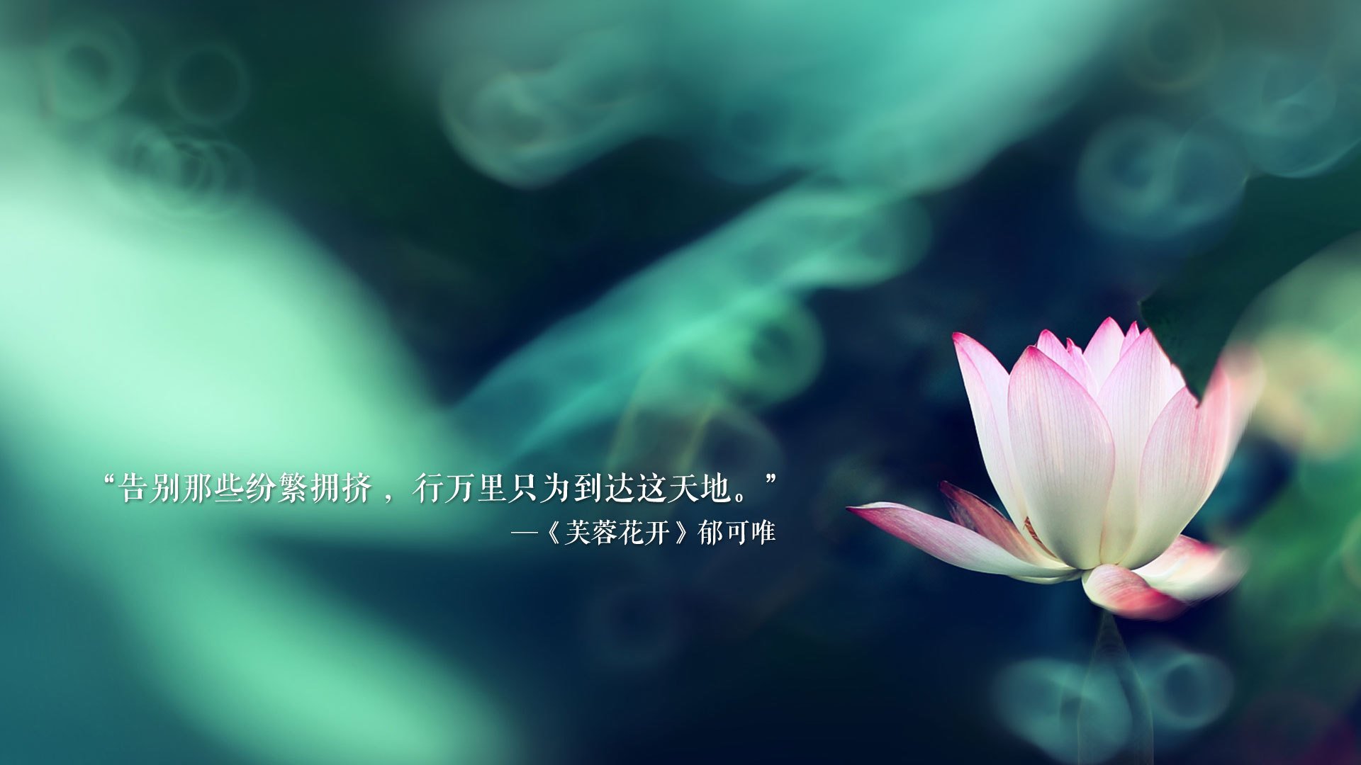 索肖主场爆冷负于尼姆，比分惨重，索肖对巴黎fc预测分析