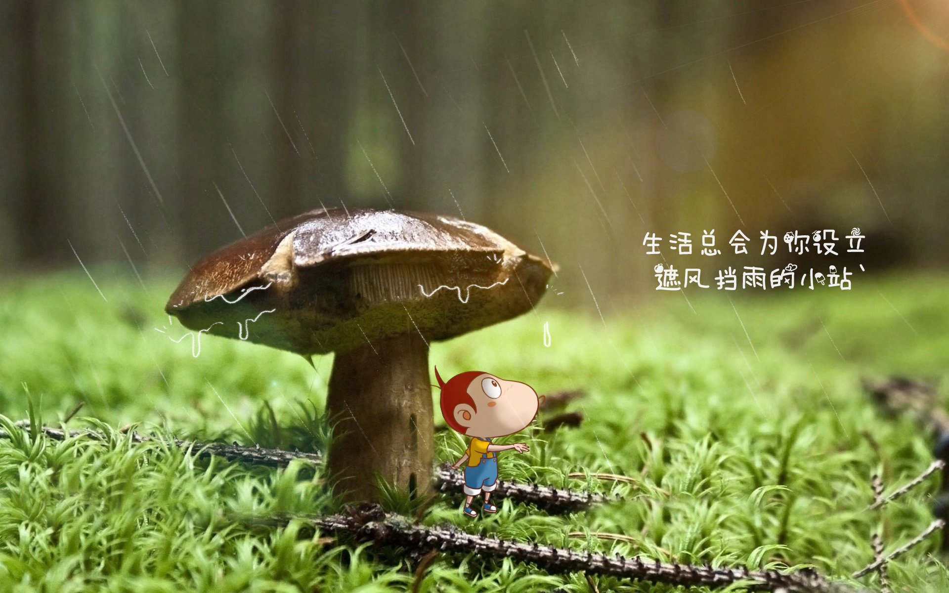 蓝月亮客场负于阿森纳，争四形势严峻，蓝月亮官方网站正宗网