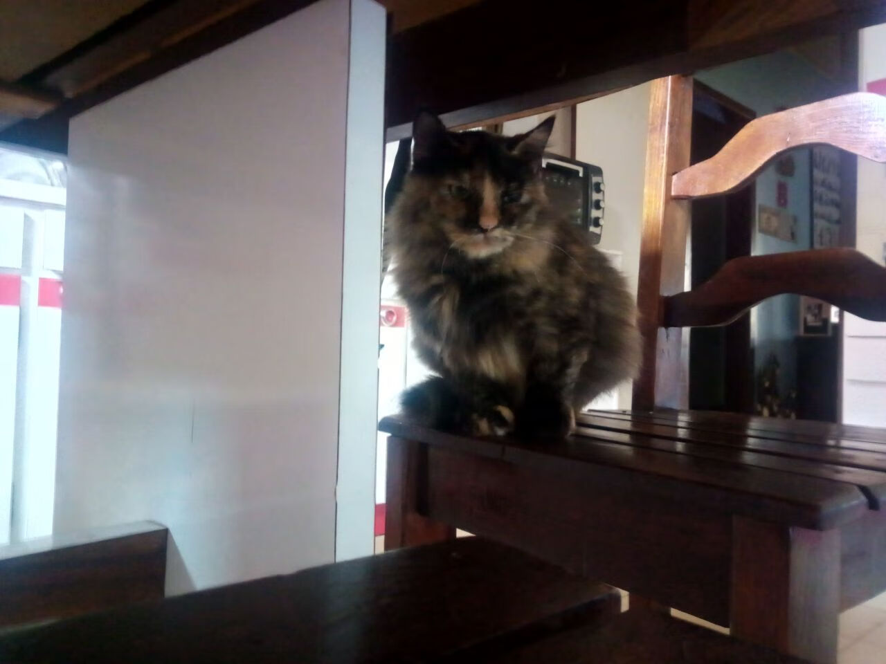 开云网站-中国三人篮球男队战术执行力提升，三人篮球 中国男篮