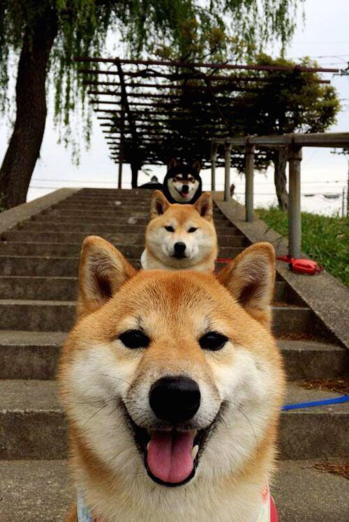 塞维利亚状态火热,勇争欧洲赛场佳绩