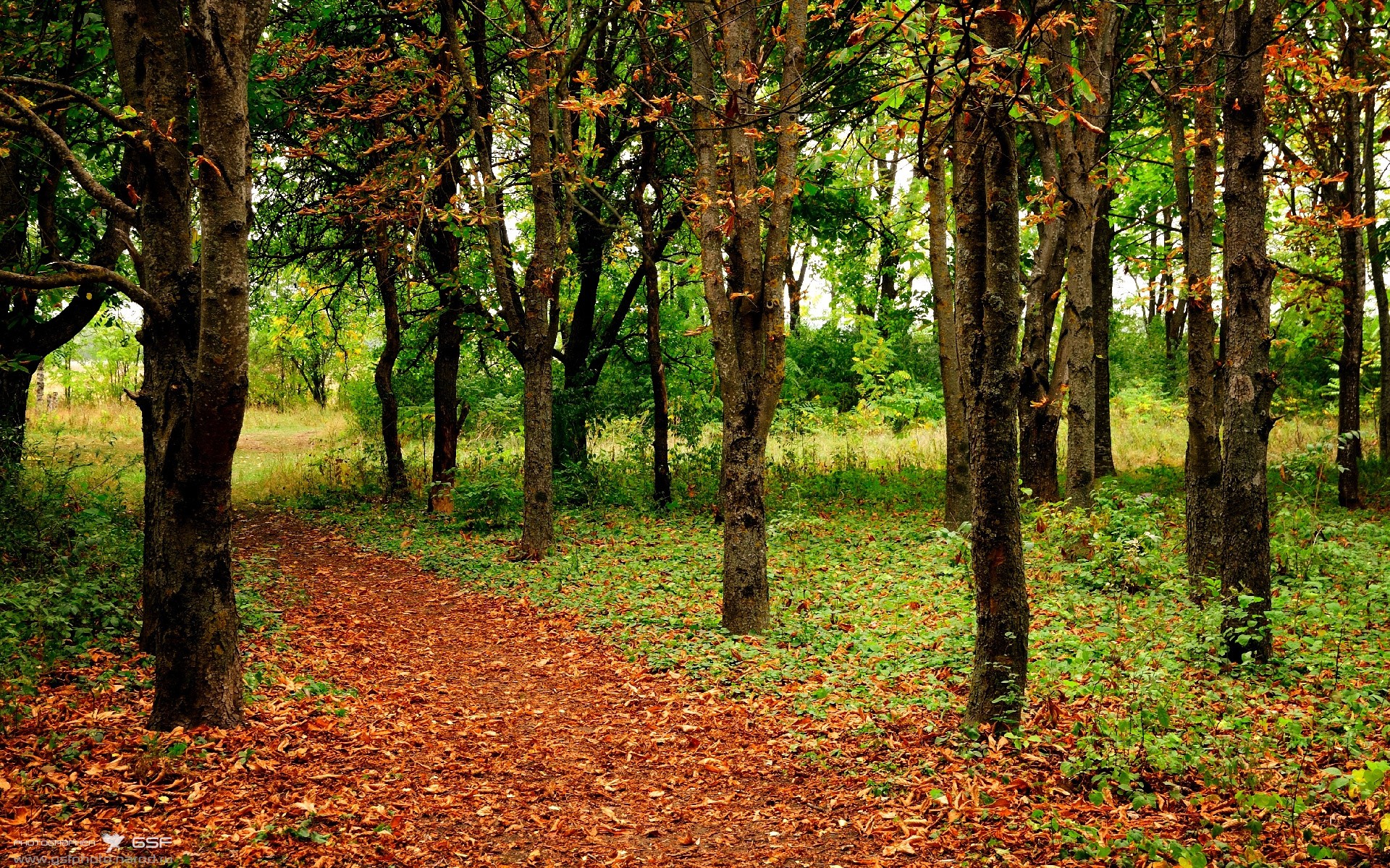 未来足球赛事将实现全场实时数据分析，直播更精彩，足球 未来